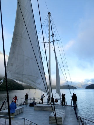 fjordland (47)